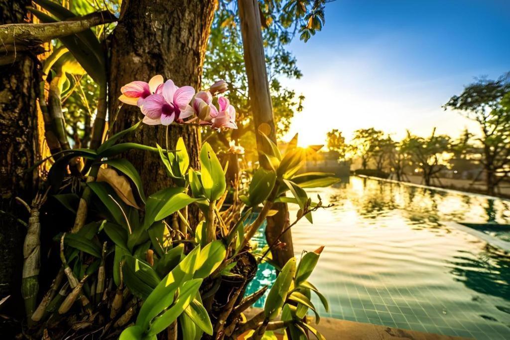 Chatnipa Beach Resort By Morseng Ban Hat Lek Ngoại thất bức ảnh